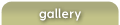 Photography Gallery