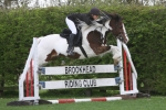Brookhead Show Jumping