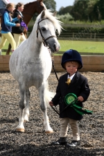 Memorial Show