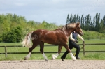 IN HAND WELSH BROOKEAD SHOW